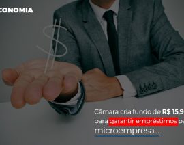 Câmara cria fundo de R$ 15,9 bi para garantir empréstimos para microempresa